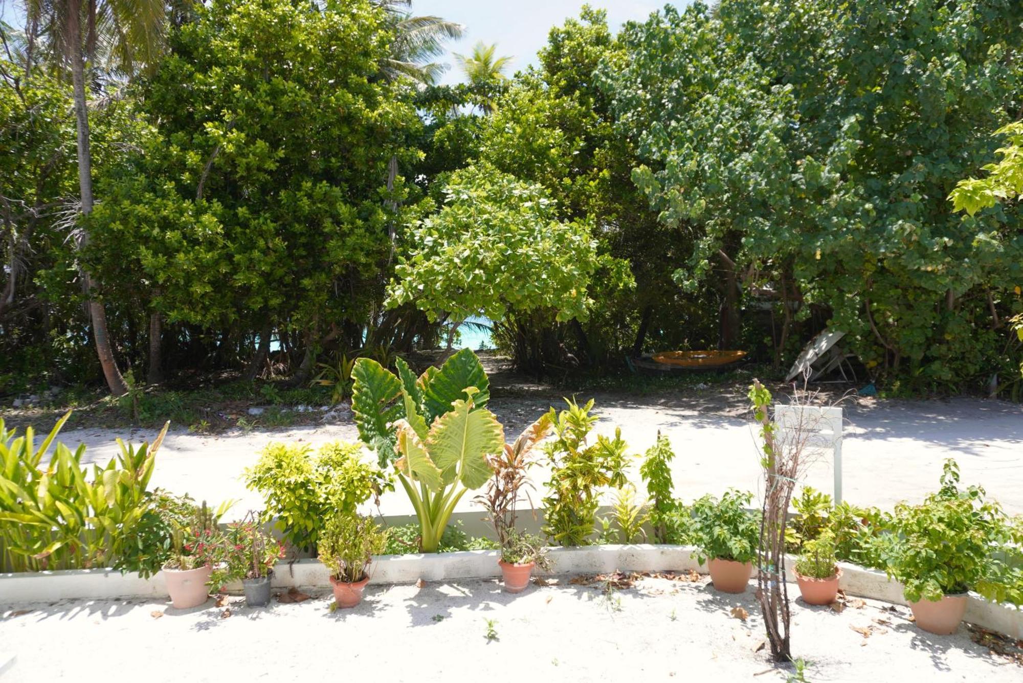 Tme Retreats Dhigurah Hotel Dhigurah  Buitenkant foto